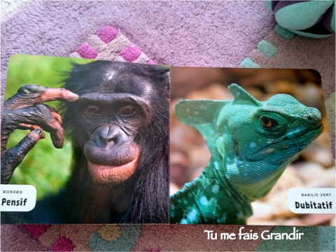 mon-premier-imagier-des-animaux-2