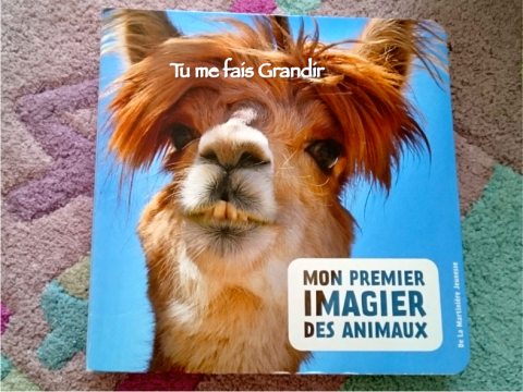 mon-premier-imagier-des-animaux