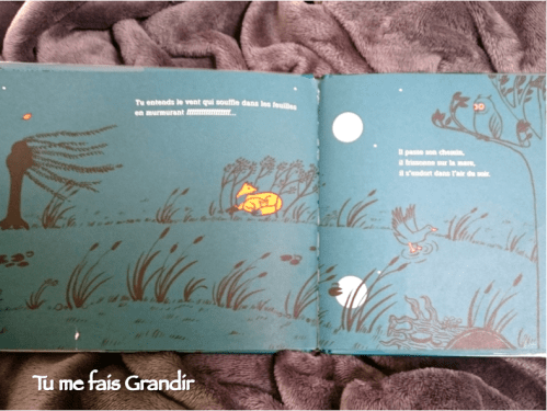 le-calme-de-la-nuit3