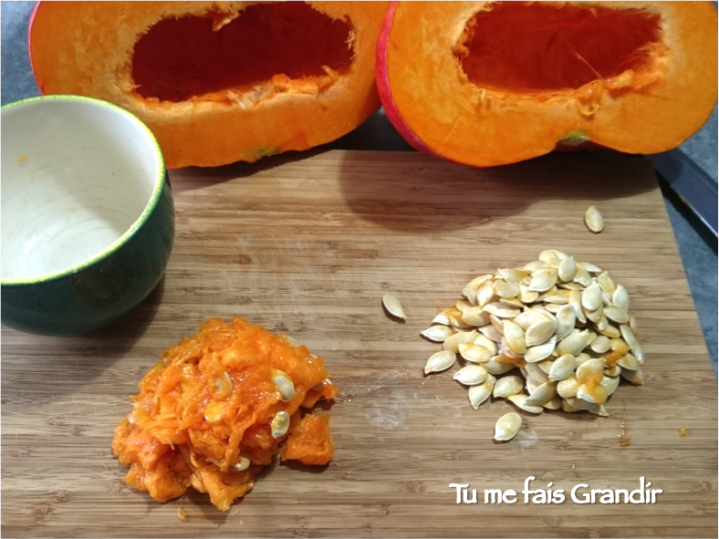 graine-de-courge-2