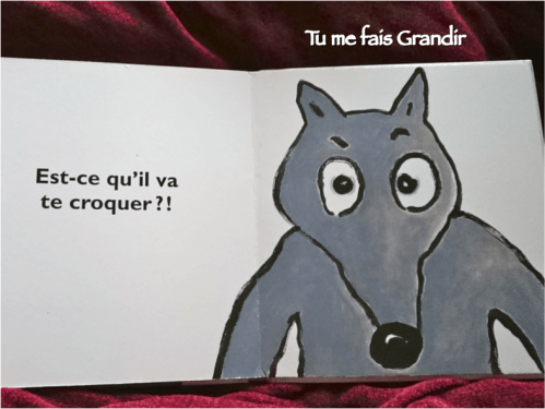 qui-a-vu-le-loup-5