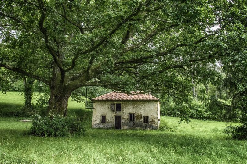 27974727771_5e2f1c3162_k