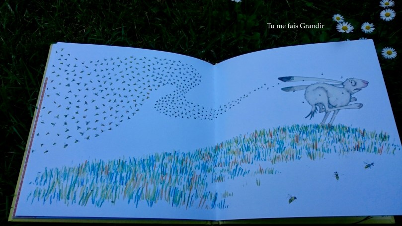 lievre et ours c'est a moi! abeilles