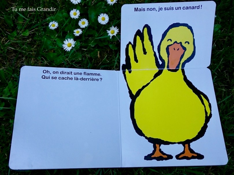 Qui se cache la derriere canard