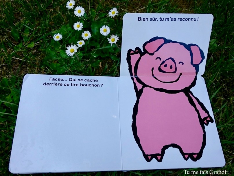 Qui se cache la derriere cochon