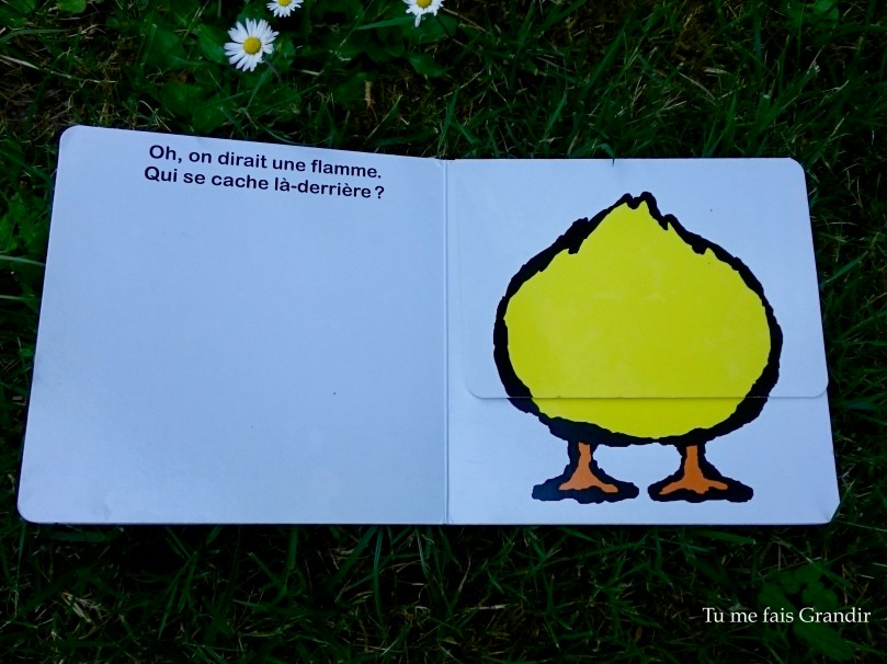 Qui se cache la derriere flamme