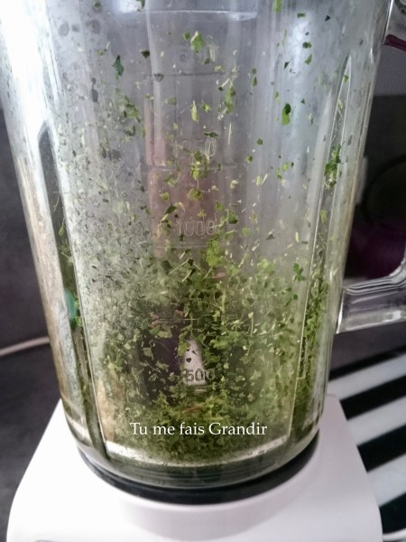 lessive lierre mixeur feuille mixe