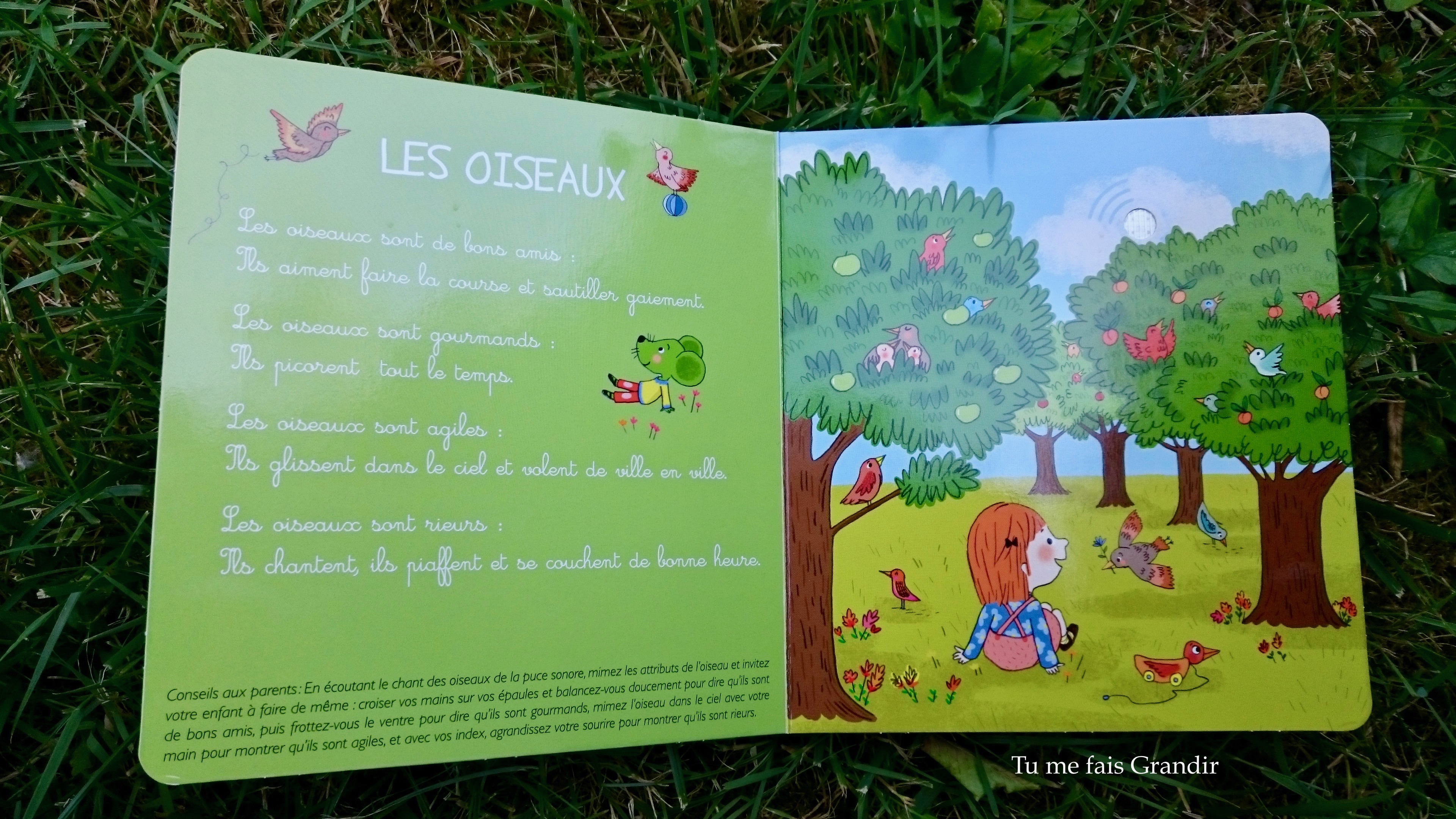 Mes premiers moments de relaxation les oiseaux