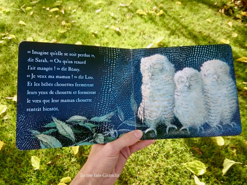 Bebes chouettes ferment les yeux