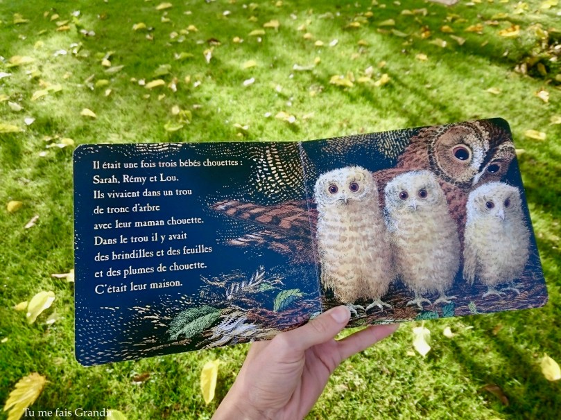 Bebes chouettes il etait une fois