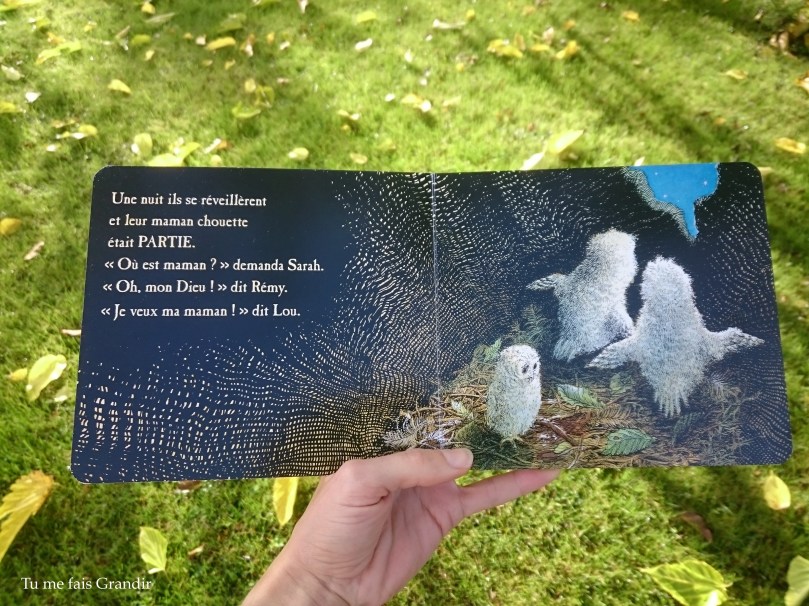 Bebes chouettes maman partie