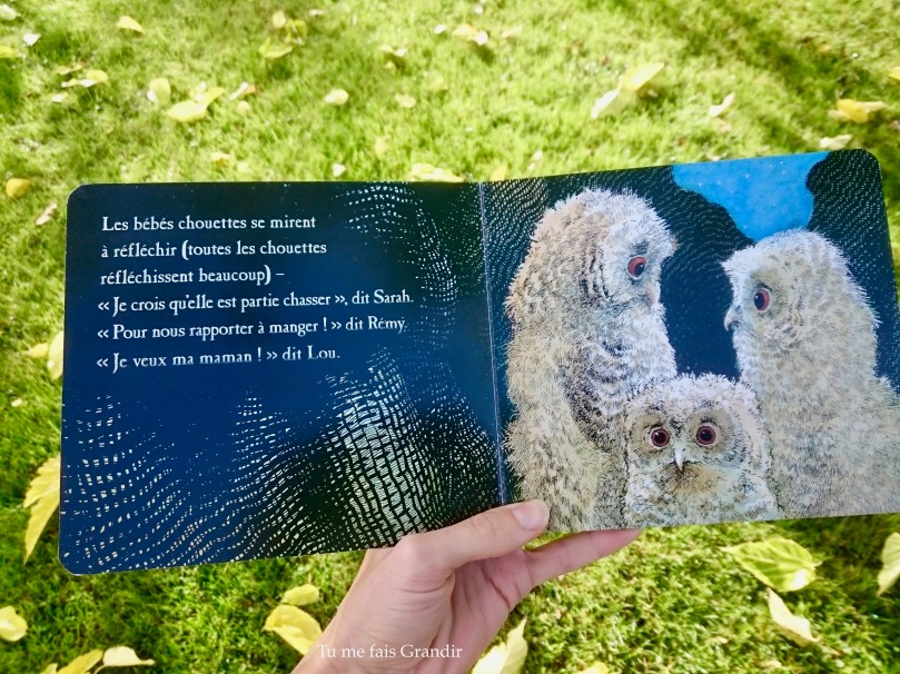 Bebes chouettes reflechissent