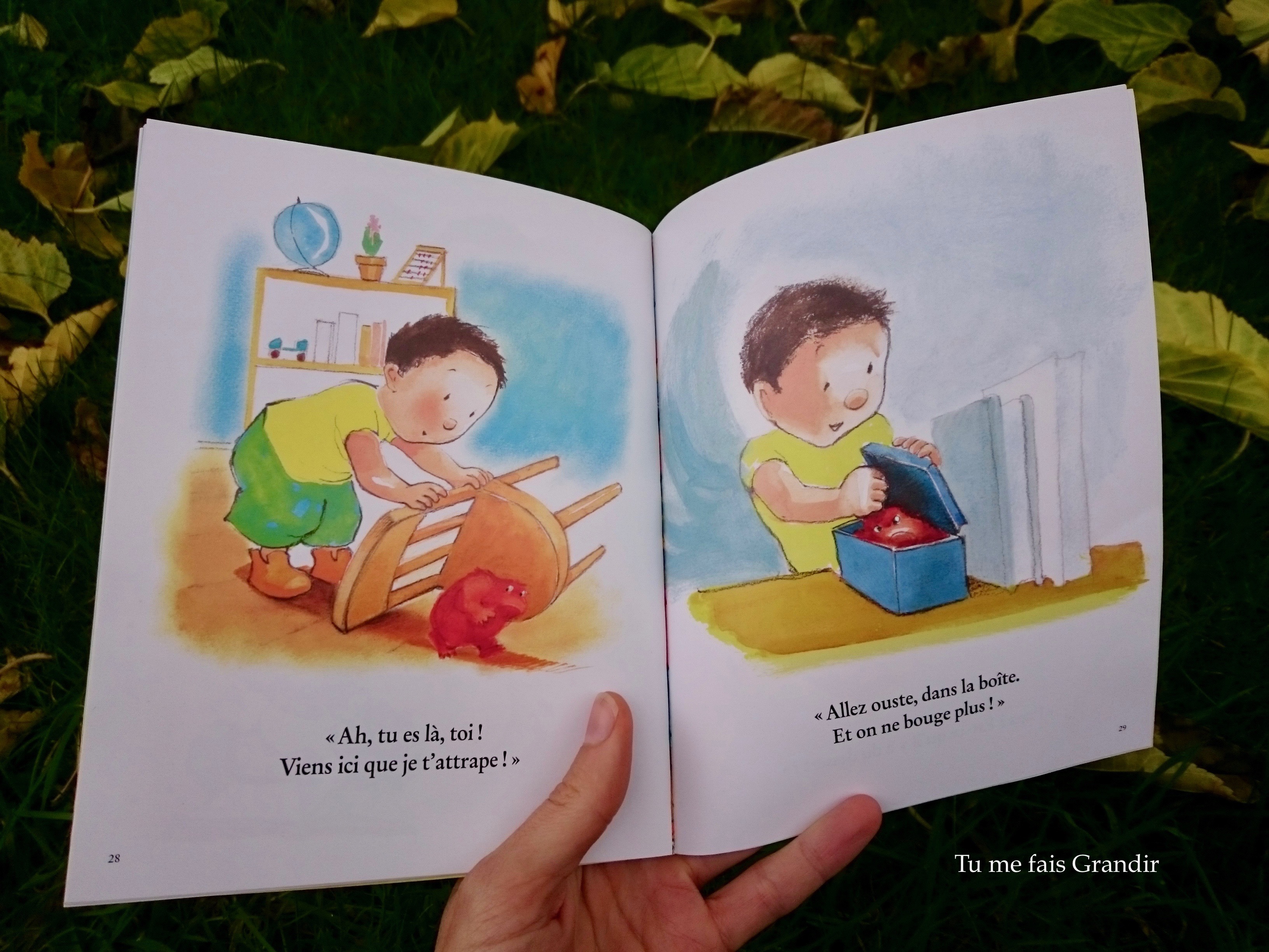 Grosse Colère boite