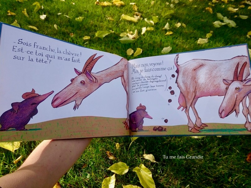 La petite taupe chevre