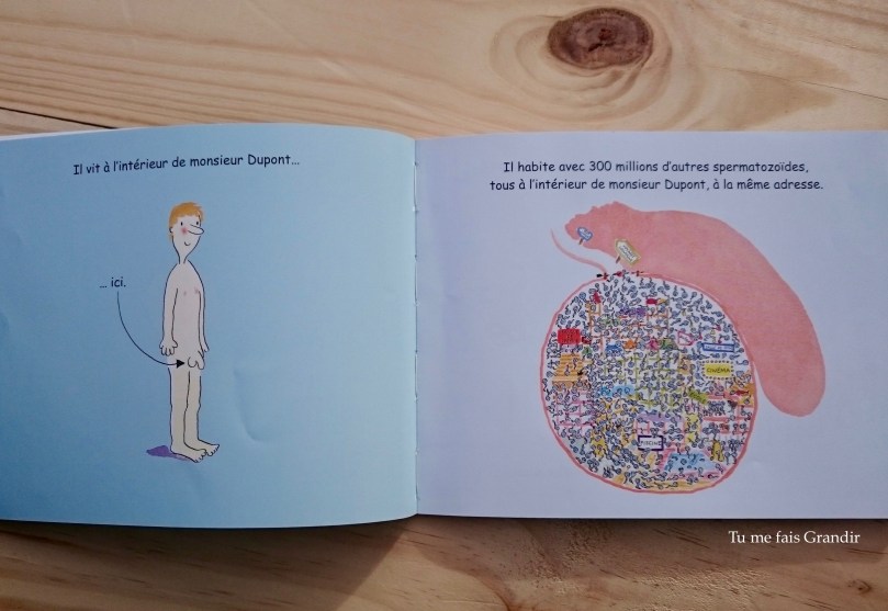 Le parcours de Paulo maison