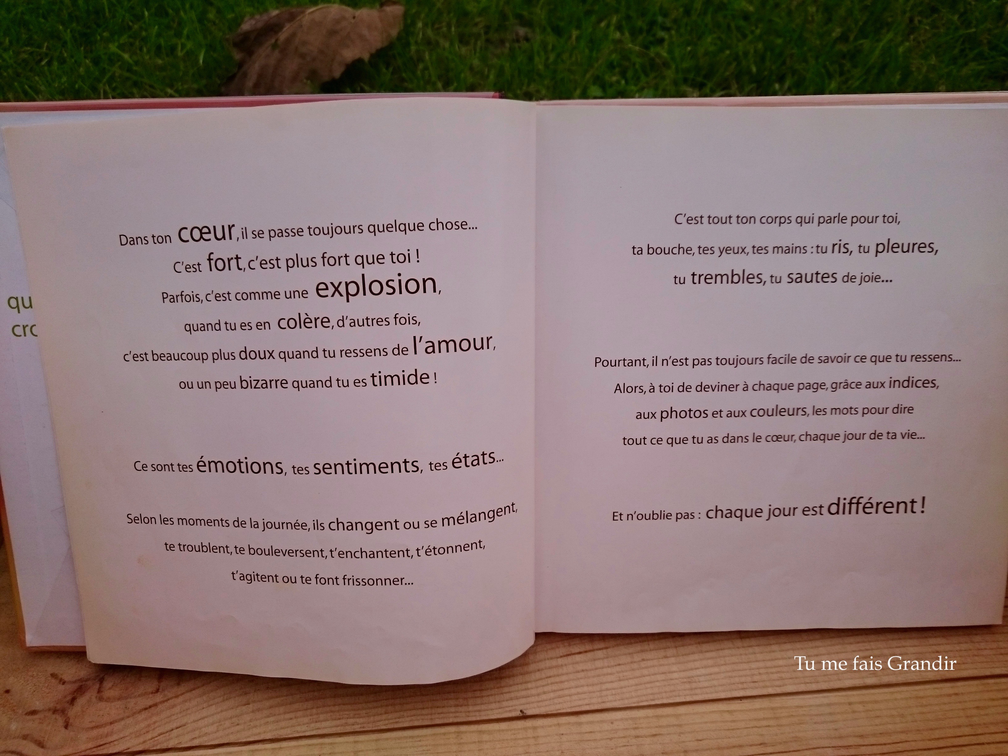 Quelle emotion introduction