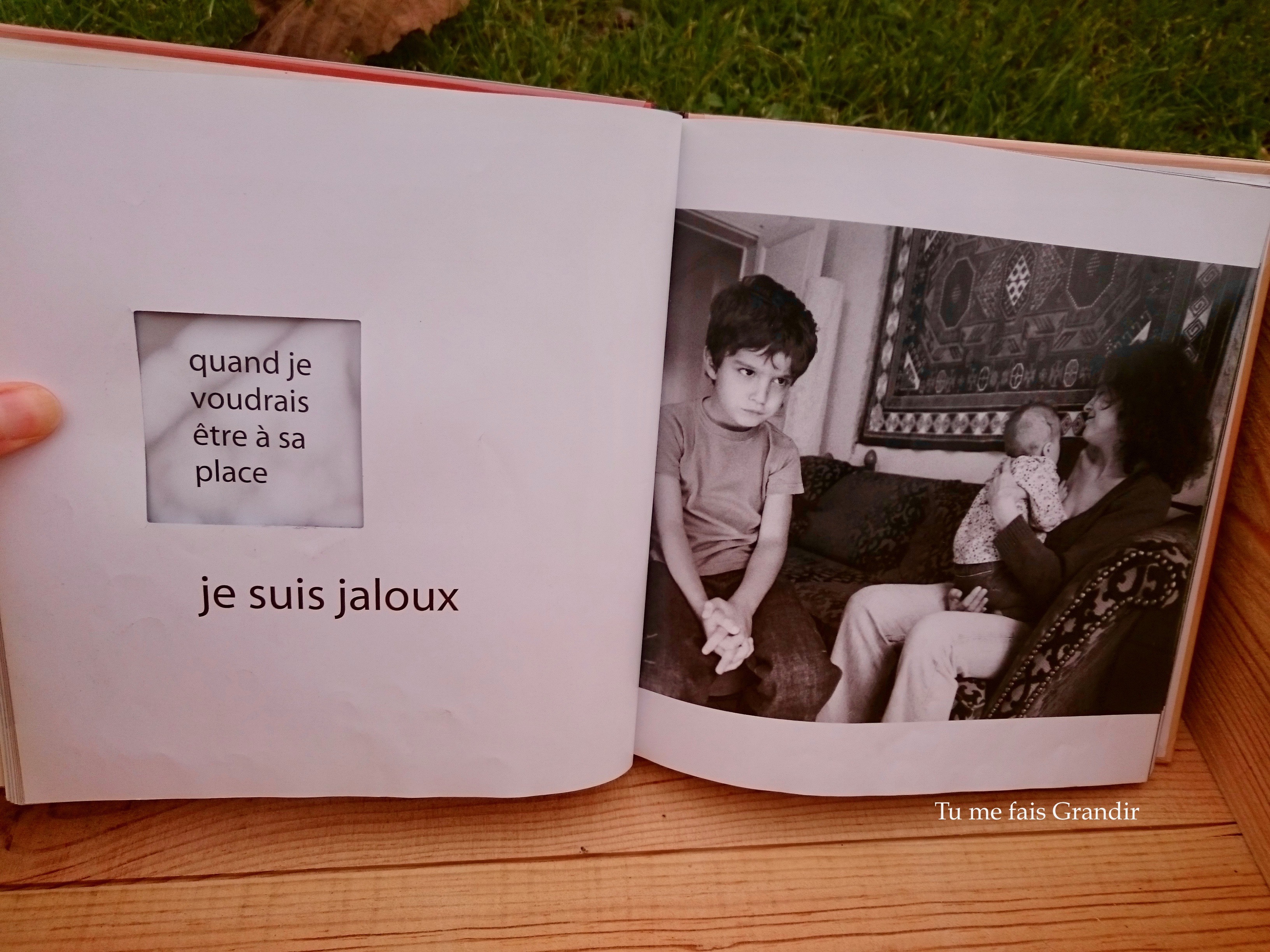 Quelle emotion jalousie