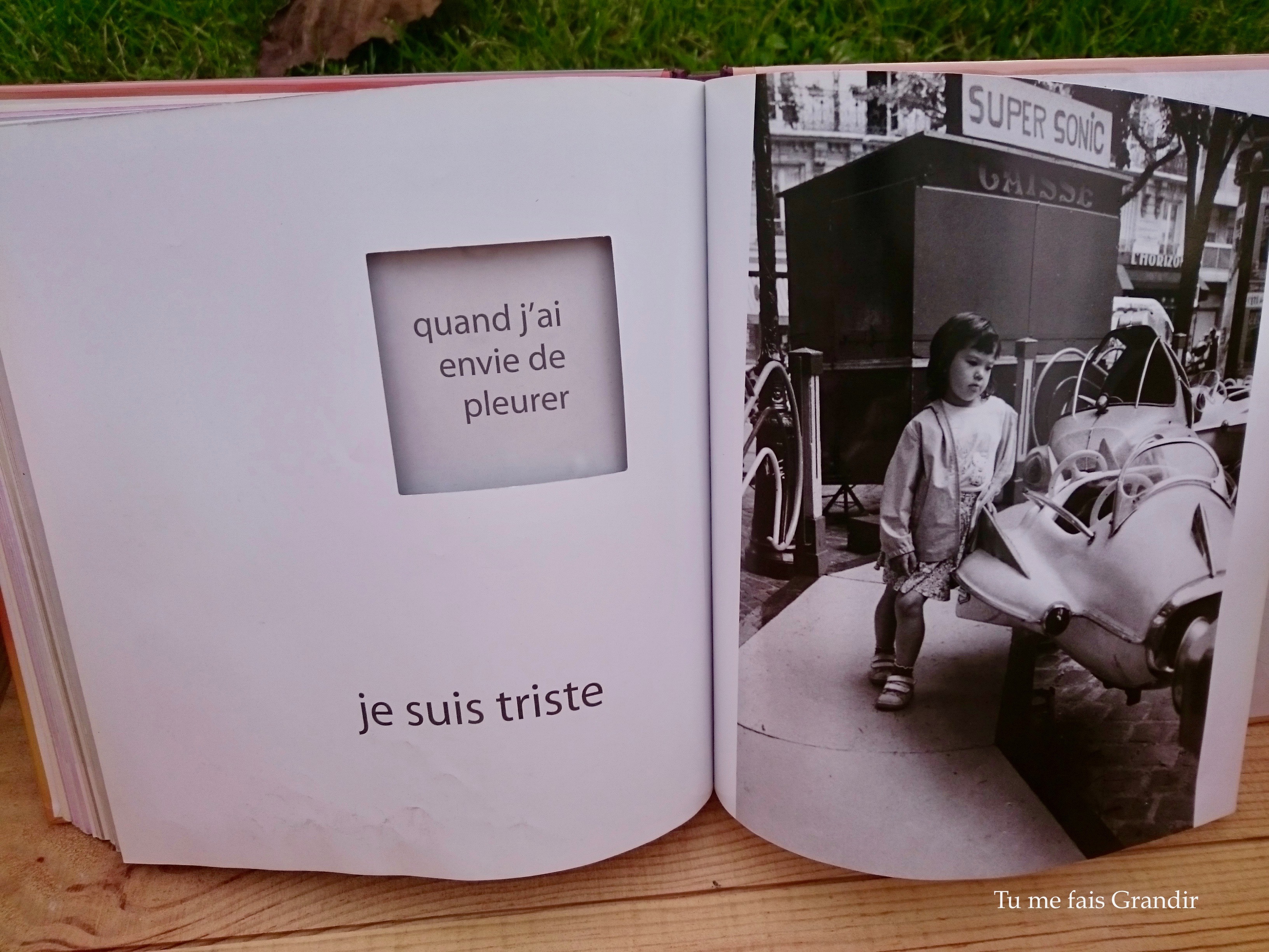 Quelle emotion triste