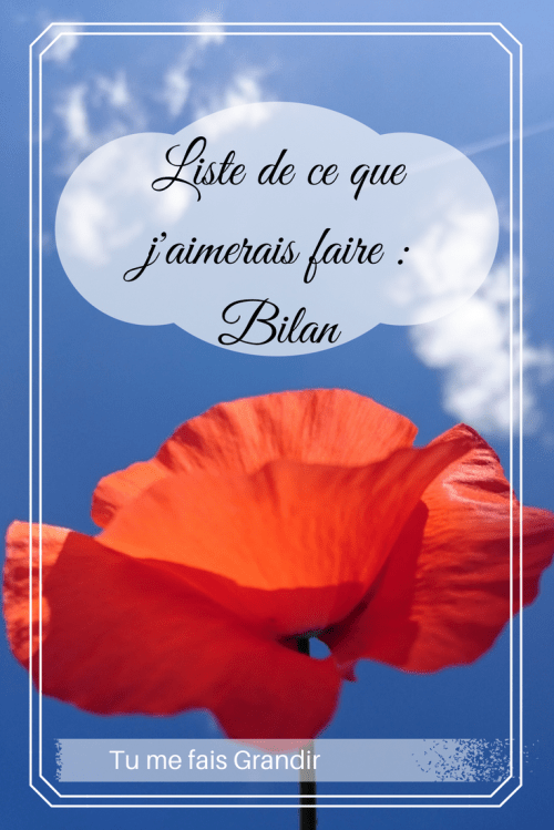 Liste des choses que j'aimerais faire _ bilan
